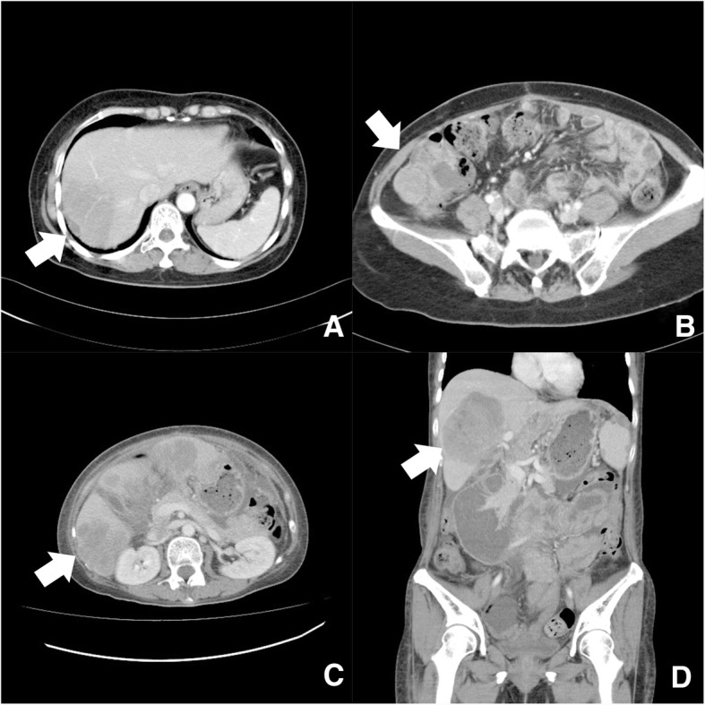 Fig. 6