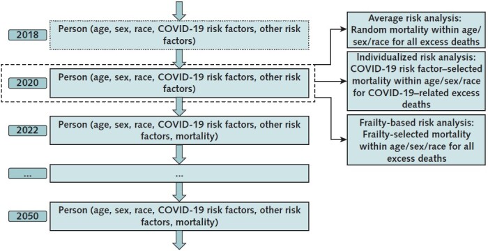 Figure 1. Structure of the microsimulation model. This figure shows how this study uses a microsimulation model of individuals to estimate years of life lost (YLLs) for COVID-19 excess deaths for the U.S. population. The microsimulation is based on the Future Adult Model (FAM) and the Future Elderly Model (FEM), which are used to forecast health outcomes for adults aged 25–54 y and adults aged ≥55 y, respectively, as of 2020. First, these models forecast mortality, quality of life, smoking behavior, and disease incidence at the individual level for a nationally representative population for the 2009–2117 (FAM) and 2016–2086 (FEM) time periods, under the assumption of 0 excess deaths from the COVID-19 pandemic. Second, a fixed number of individuals in the model die during 2020–2021 as a result of the COVID-19 pandemic. For each 5-y age, sex, and race/ethnicity subgroup, this fixed number of decedents is set equal to the number of excess deaths reported by the Centers for Disease Control and Prevention. The average risk analysis assumes that these deaths occurred randomly within the age–sex–race/ethnicity subgroup. The individualized risk analysis assumes that the COVID-19–related excess deaths occurred within the age–sex–race/ethnicity subgroup in proportion to COVID-19 mortality odds ratios for 12 comorbidity risk factors, and that non–COVID-19–related excess deaths occurred based on the (pre–COVID-19) mortality probabilities projected by the microsimulation. The frailty-based risk analysis assumes that, within each subgroup, all excess deaths occurred among the individuals with the highest projected mortality risk, as estimated by the FEM and FAM.