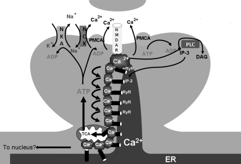 FIG. 3.