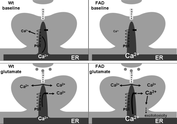 FIG. 5.