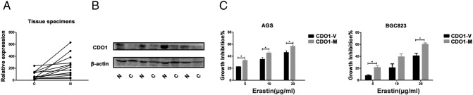 Supplementary Figure 1