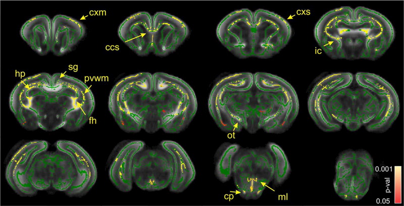 FIGURE 3: