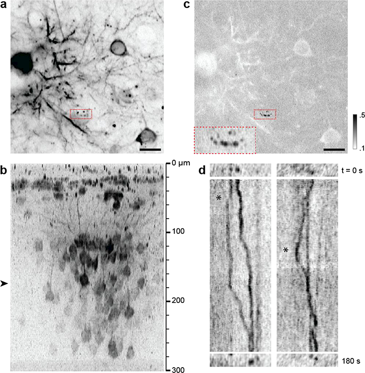 Figure 4.