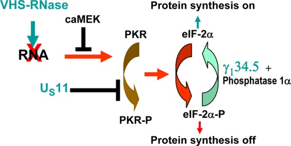 Fig 6