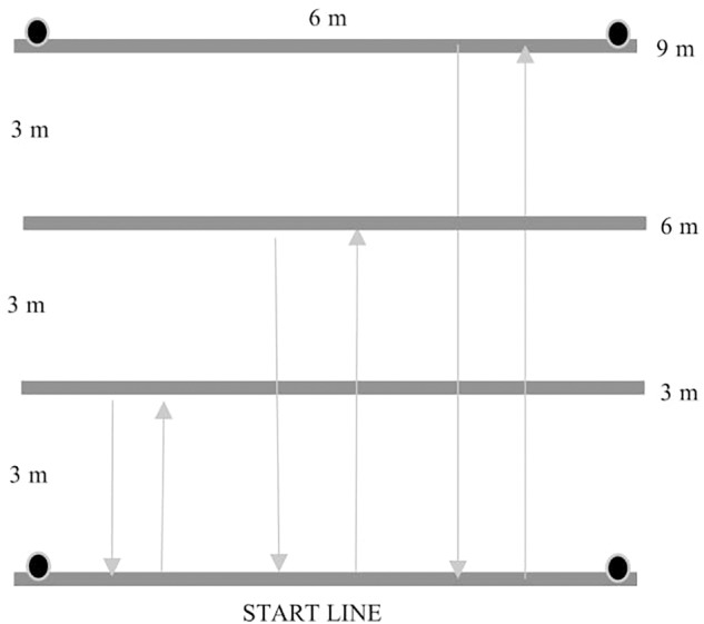 FIGURE 2