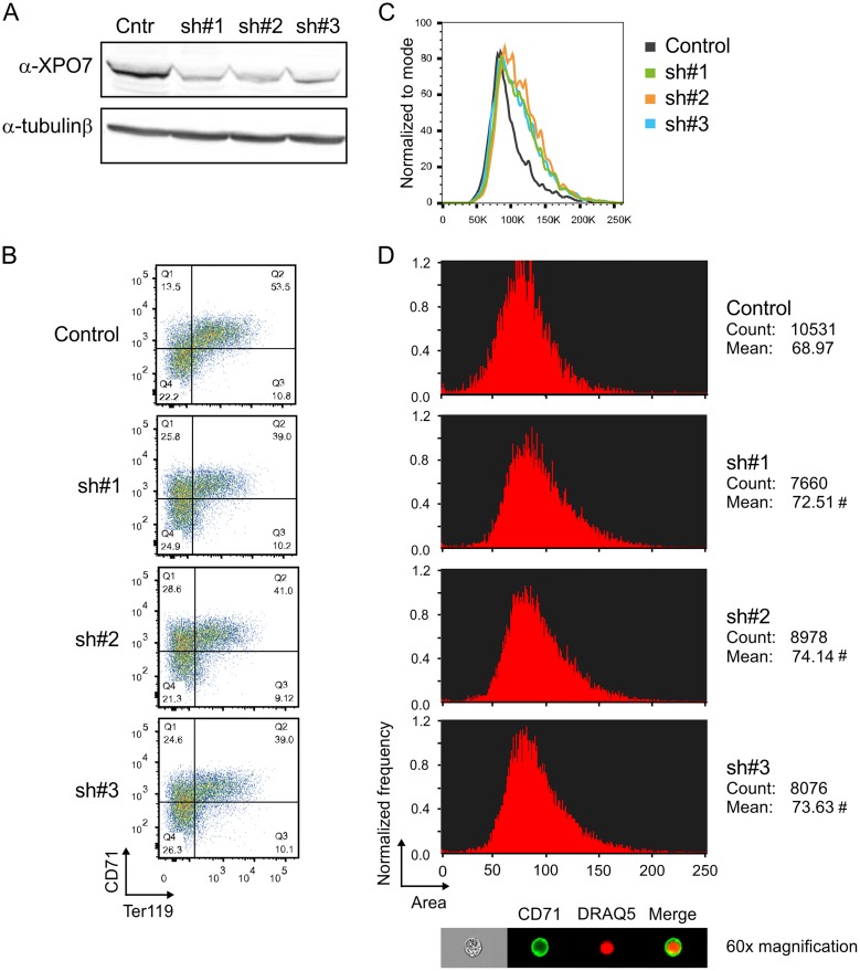 Fig 6