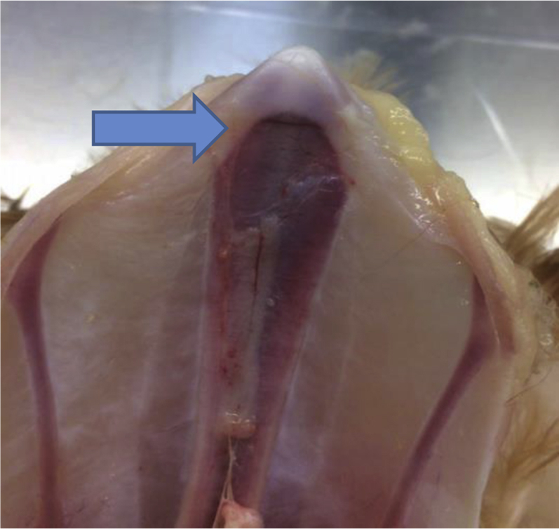 Figure 3