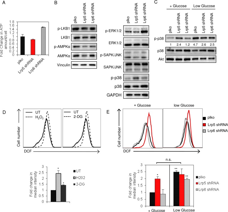 FIG 6