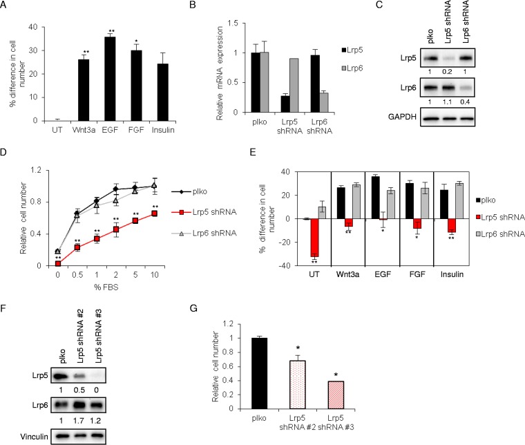 FIG 2