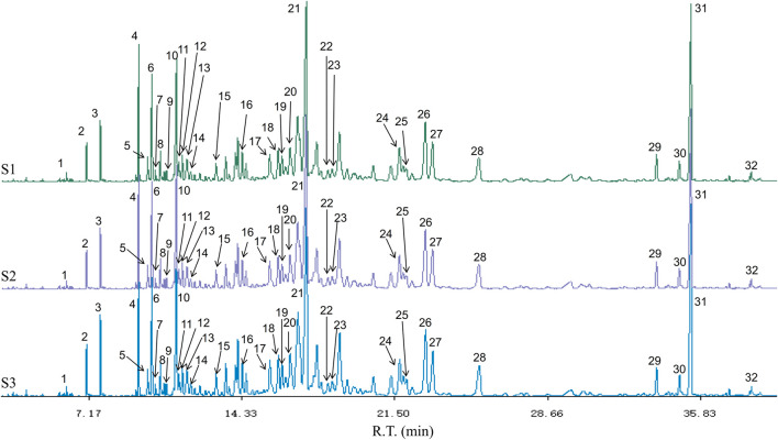 FIGURE 3