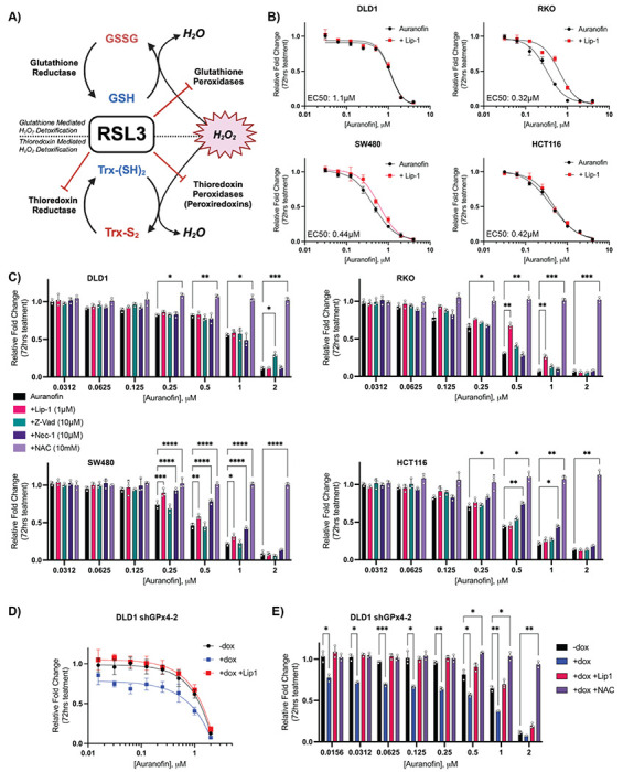 Figure 4: