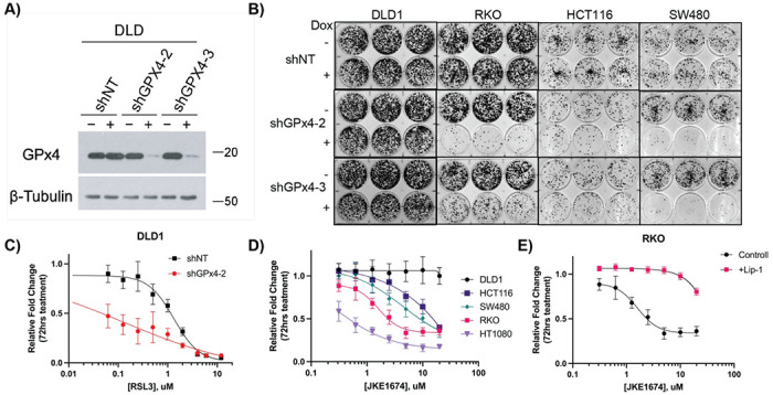 Figure 2: