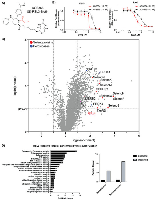 Figure 3: