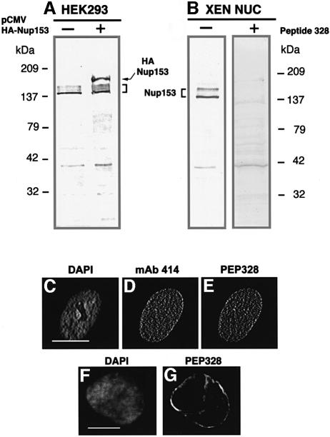 graphic file with name cdd401f4.jpg