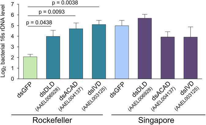 Fig 6