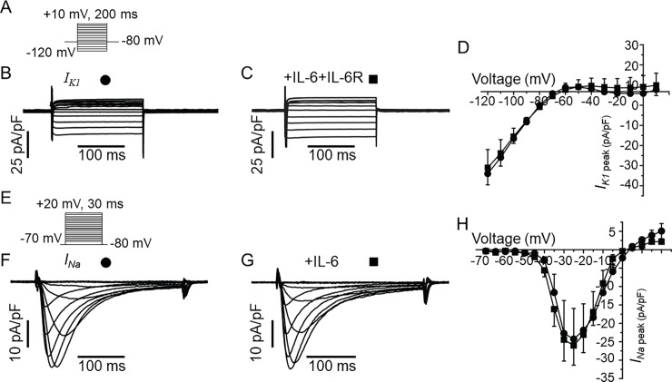 Fig 7