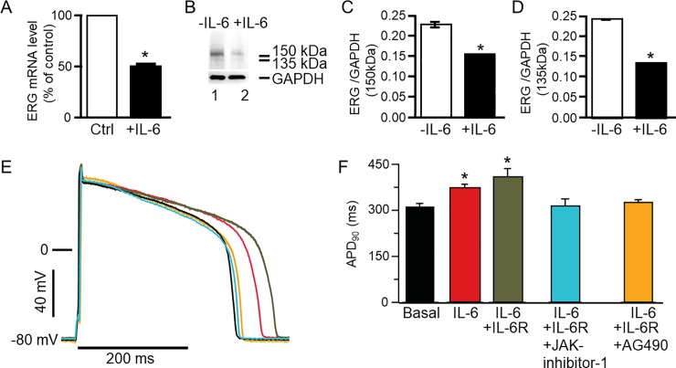 Fig 8