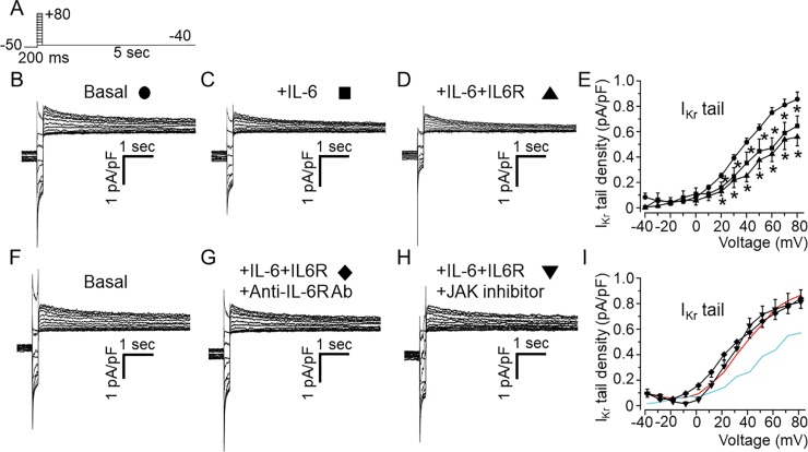 Fig 5