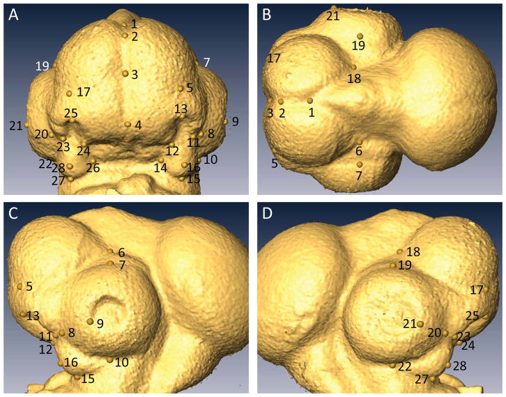 Figure 7