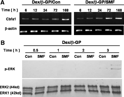 Fig. 6