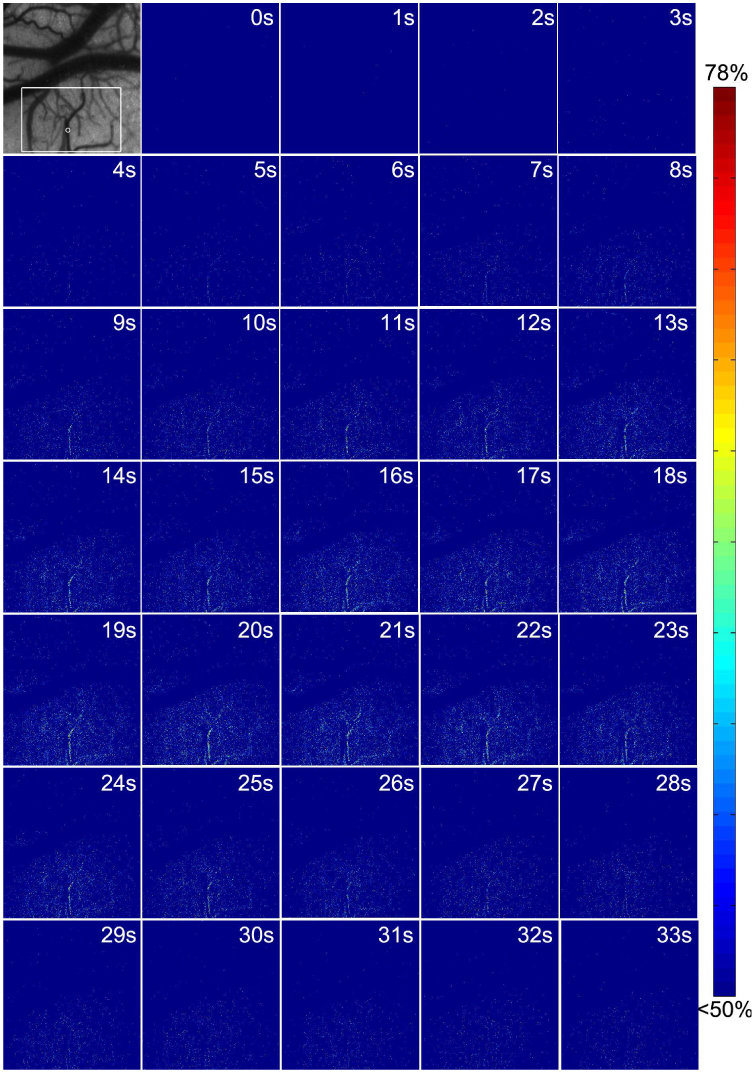 Fig. 7