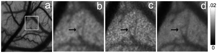 Fig. 10