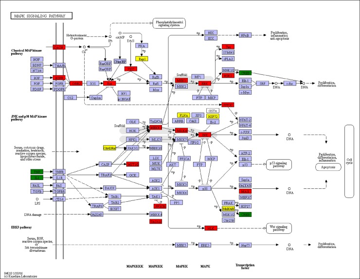 Fig 11