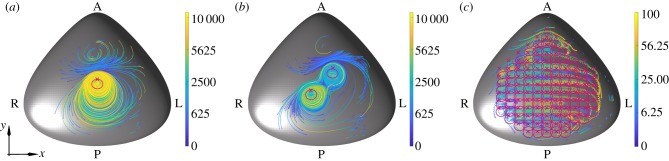 Figure 2.