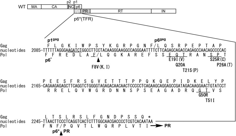 Fig 1