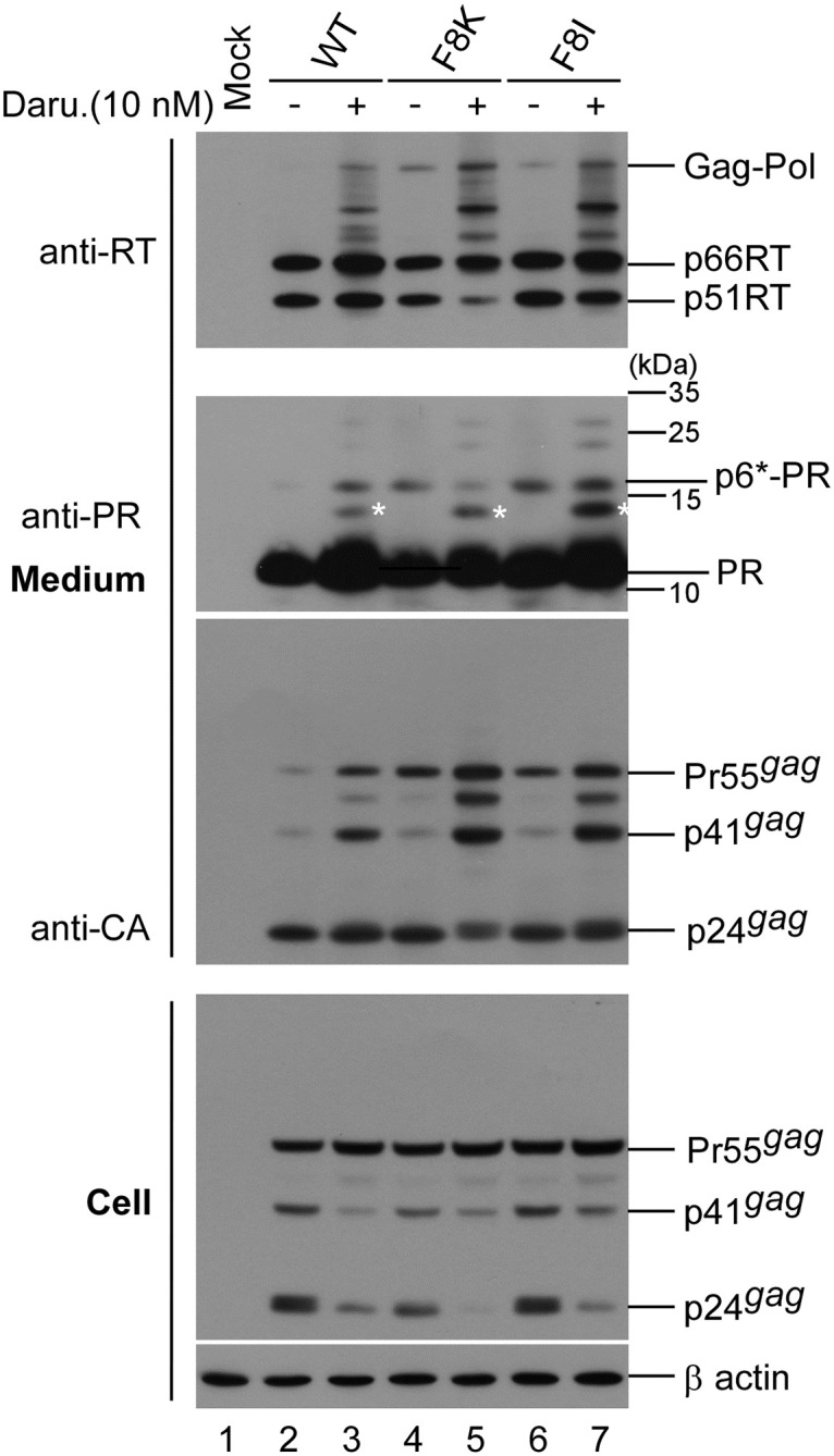 Fig 4