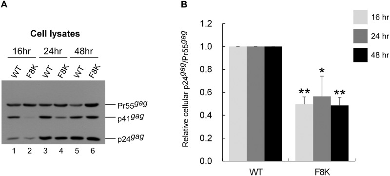 Fig 6