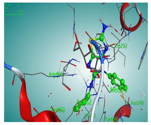 graphic file with name molecules-27-00767-i020.jpg