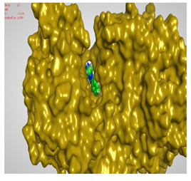 graphic file with name molecules-27-00767-i018.jpg