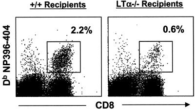 FIG. 9.