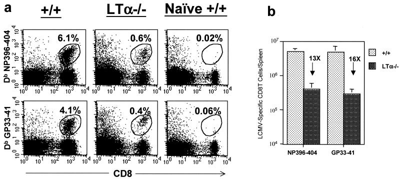 FIG.3.