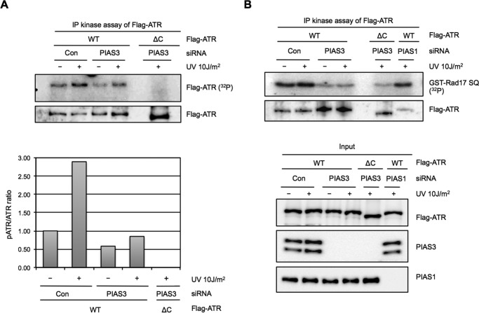 FIGURE 12.