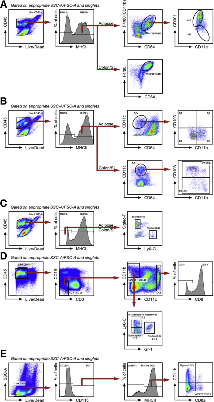 Figure 2