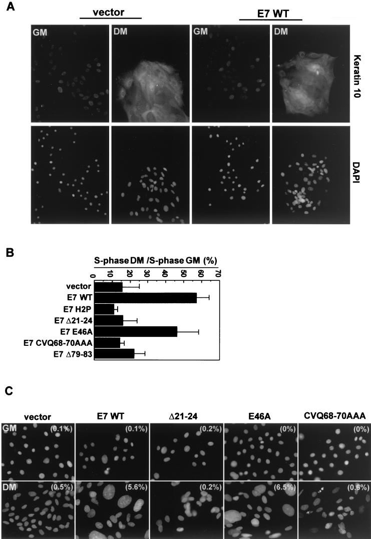 FIG.2.