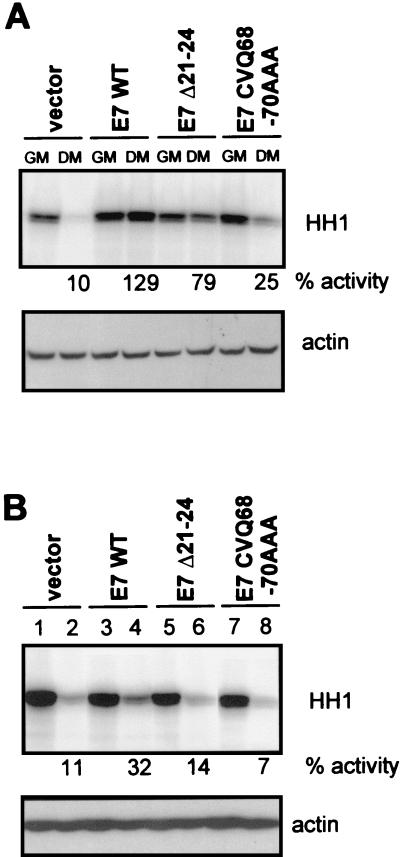 FIG. 6.