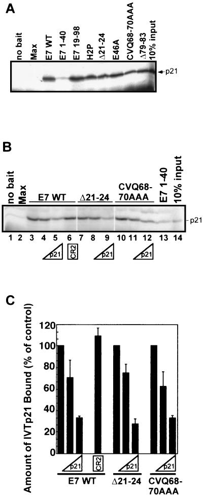 FIG. 5.