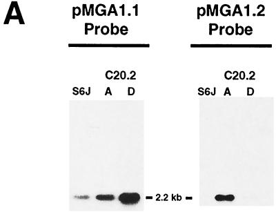 FIG. 4