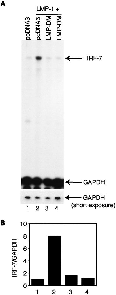 FIG. 5