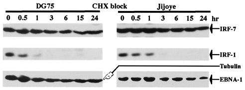 FIG. 7