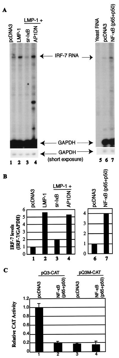 FIG. 6