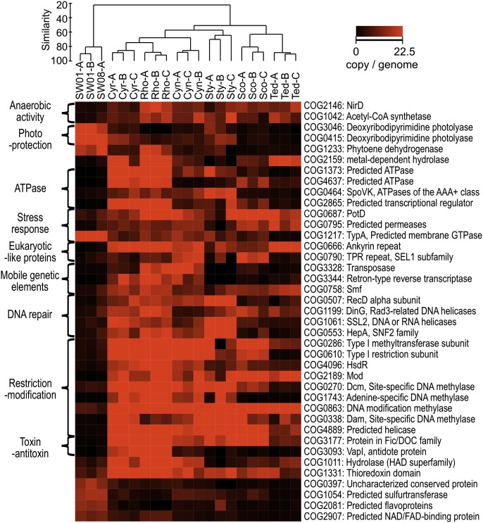 Fig. 4.