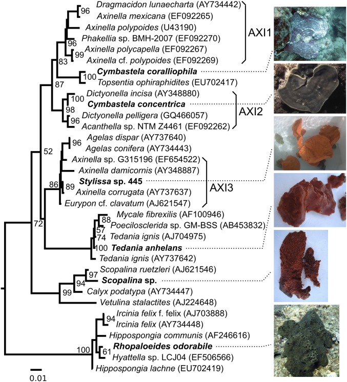 Fig. 1.