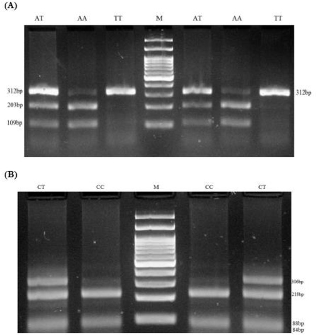 Fig. 1: