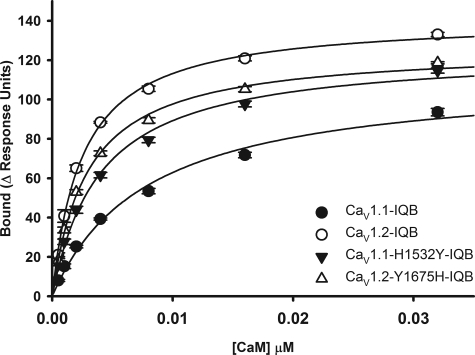 FIGURE 2.