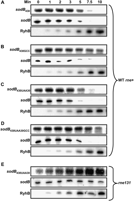 Figure 7.