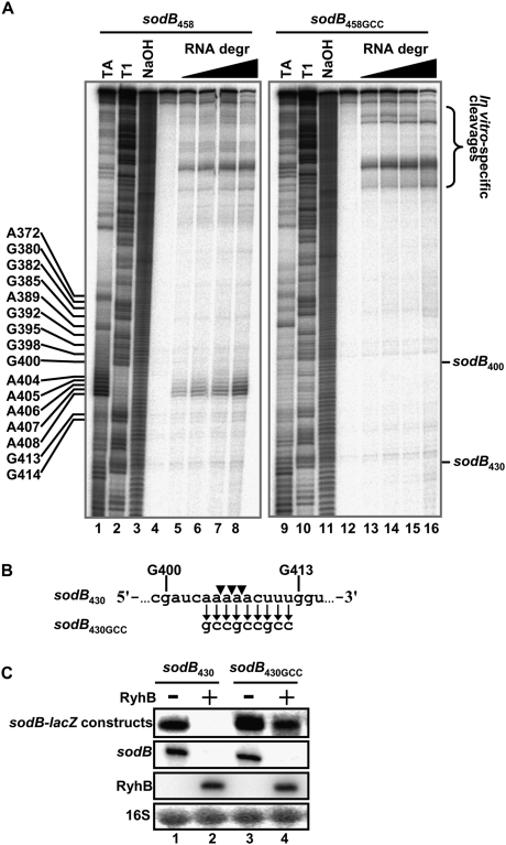 Figure 5.